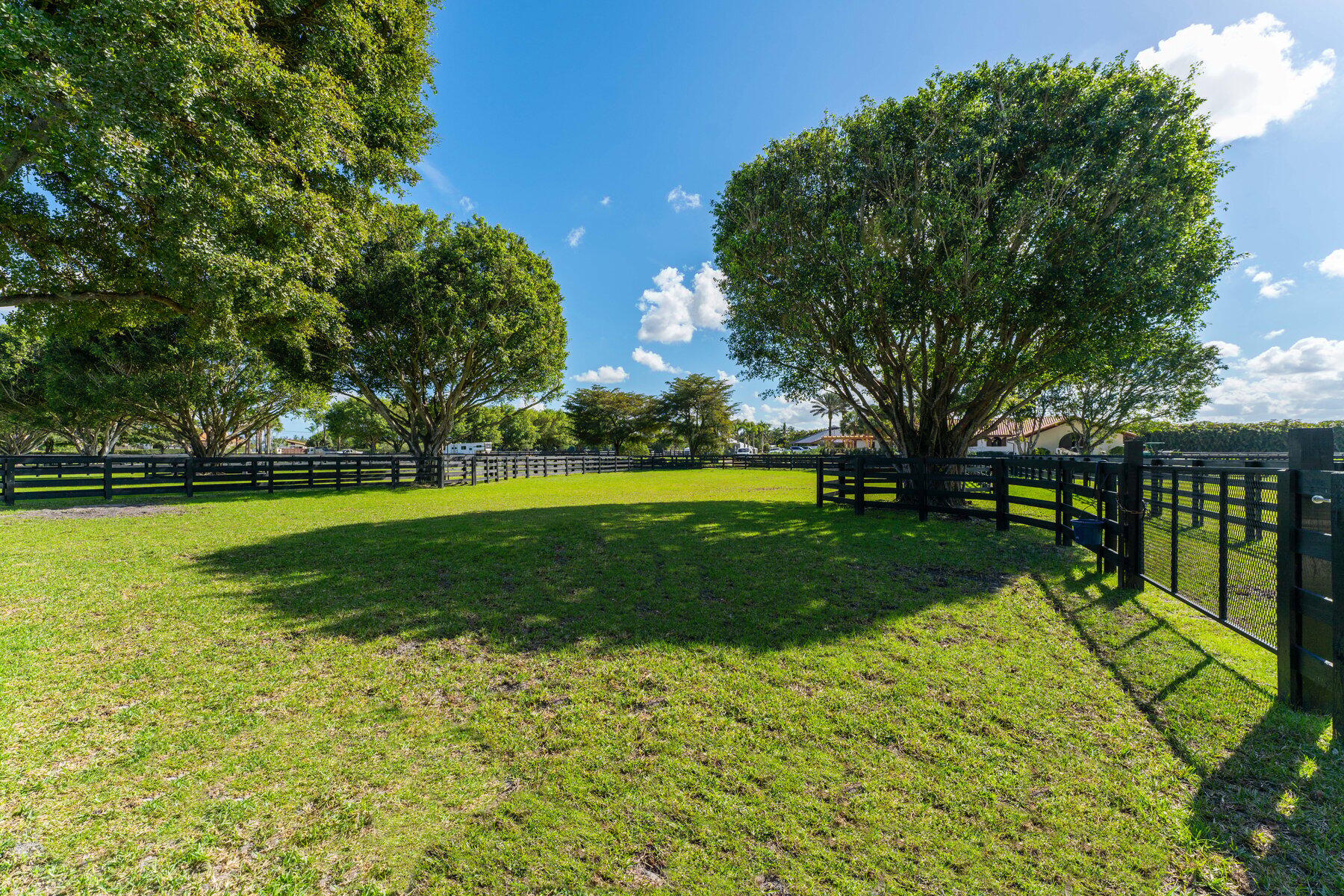 Palm Glade Ranches - Residential