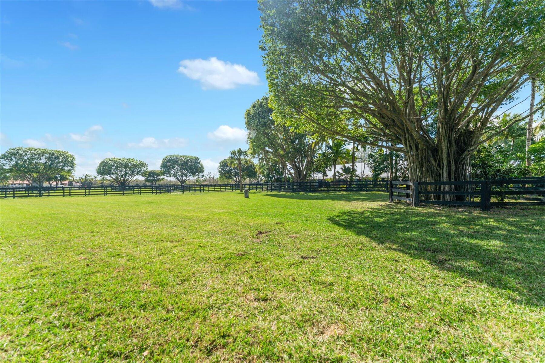 Palm Glade Ranches - Residential