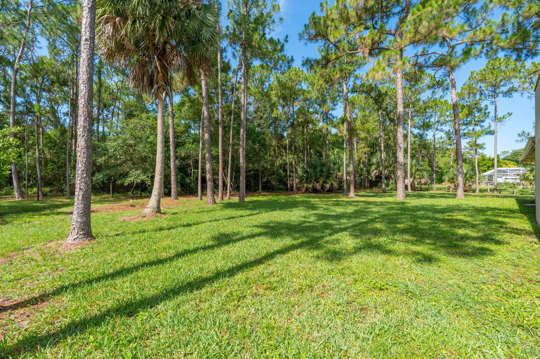 ACREAGE & UNREC PLAT - Residential Lease