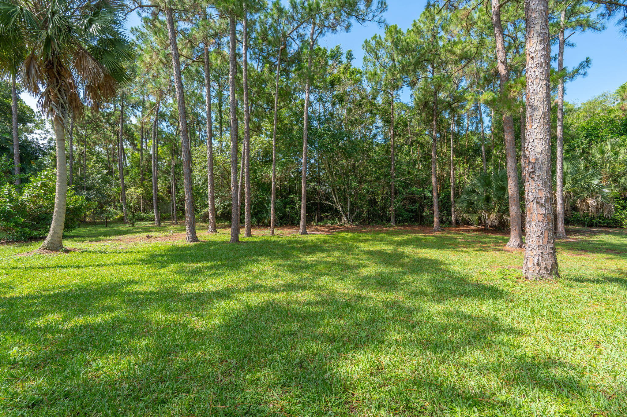 ACREAGE & UNREC PLAT - Residential Lease