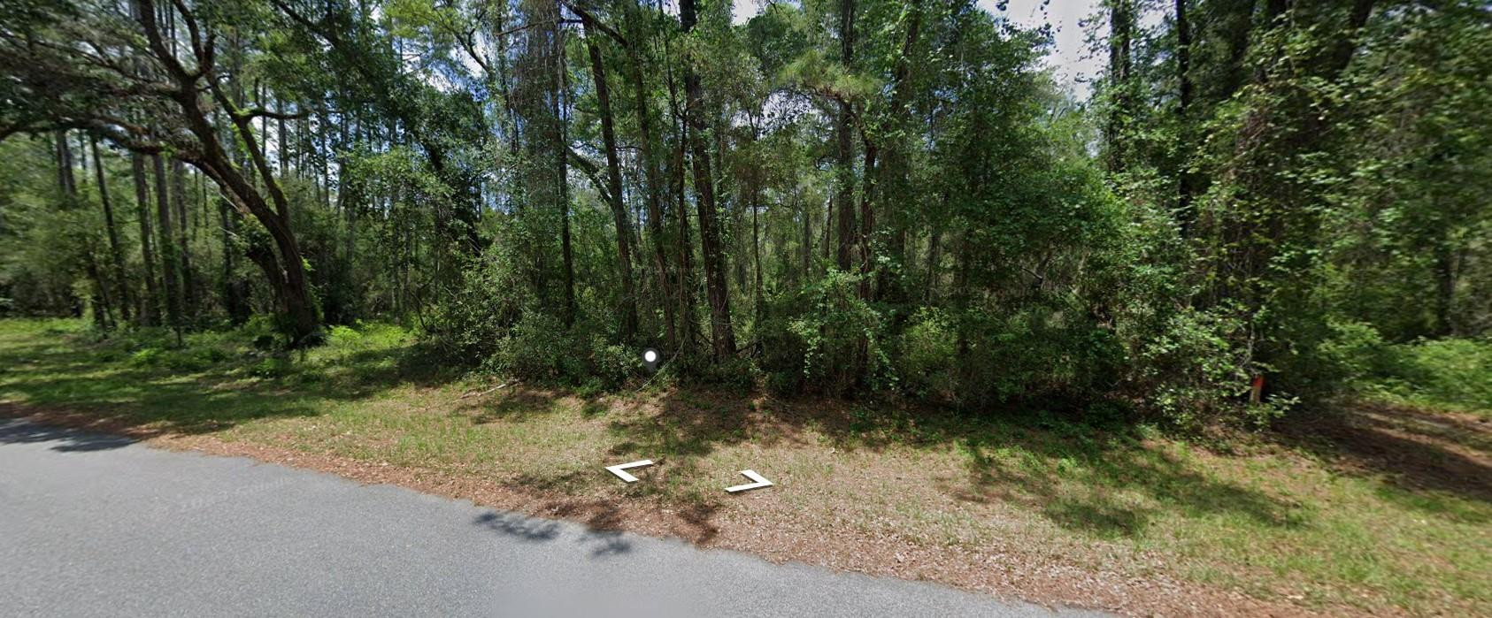 Build your dream home on this beautiful homesite located in the growing community of Citrus Springs, Florida. This oversized lot offers a great opportunity for future development or investment. Conveniently located near shopping, dining, medical facilities, schools, golf courses, parks, and the Withlacoochee State Trail. Enjoy the peaceful surroundings while still being within a short drive to Crystal River, Dunnellon, and the Gulf Coast. No HOA. Buyer to verify all information, utilities, zoning, and building requirements with the county. From N Lecanto Hwy, turn onto W Citrus Springs Blvd. Continue straight and turn onto N Elkcam Blvd. Turn right onto E Abend Dr. Property will be on the right-hand side.