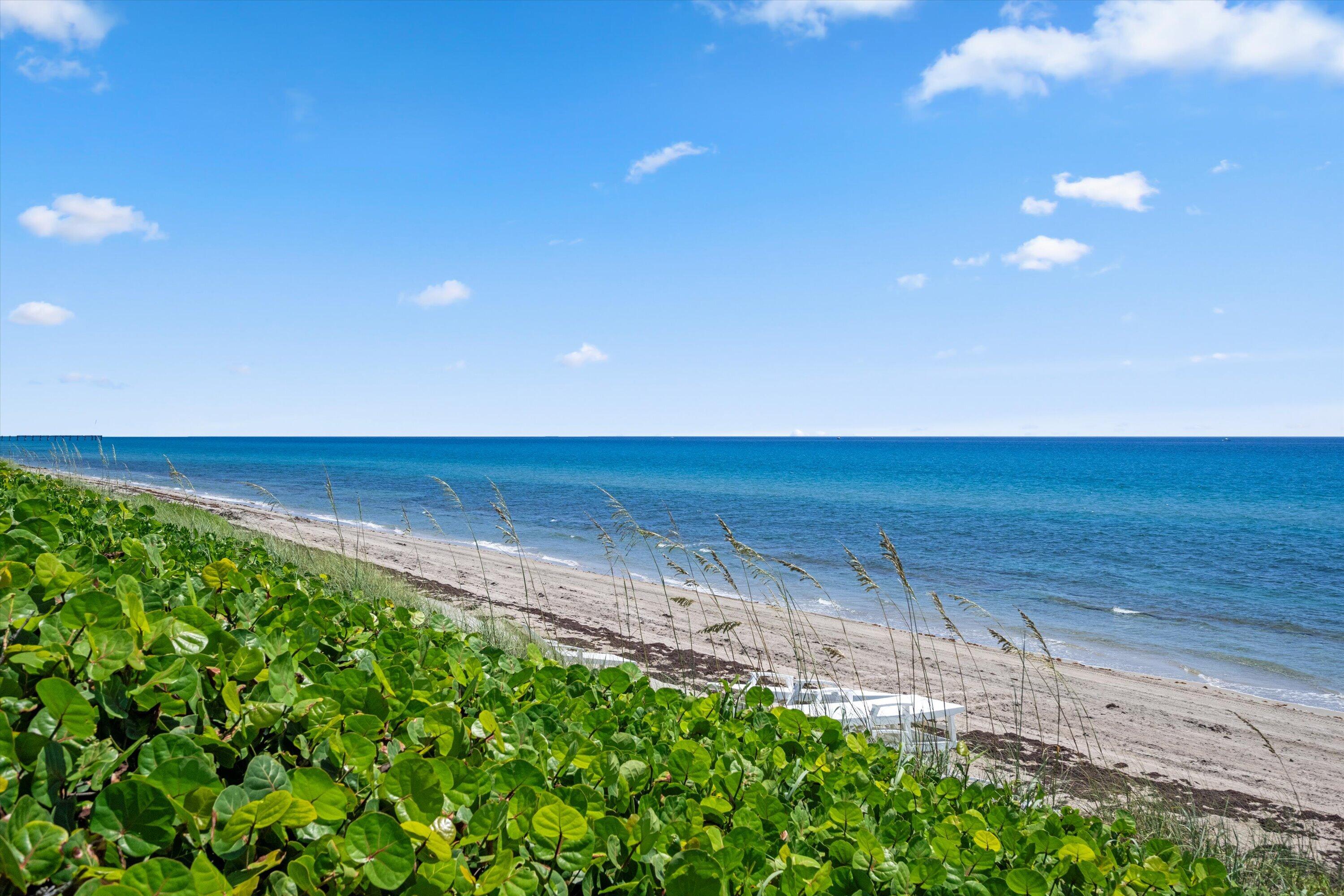 HALCYON OF PALM BEACH - Residential