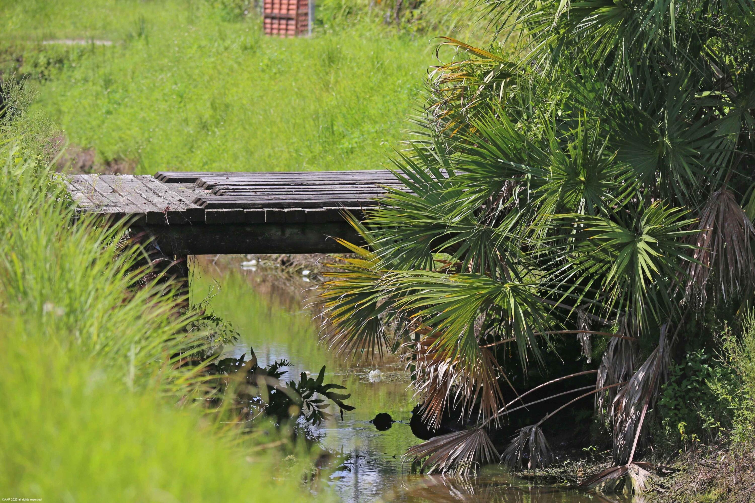 LOXAHATCHEE GROVES - Land