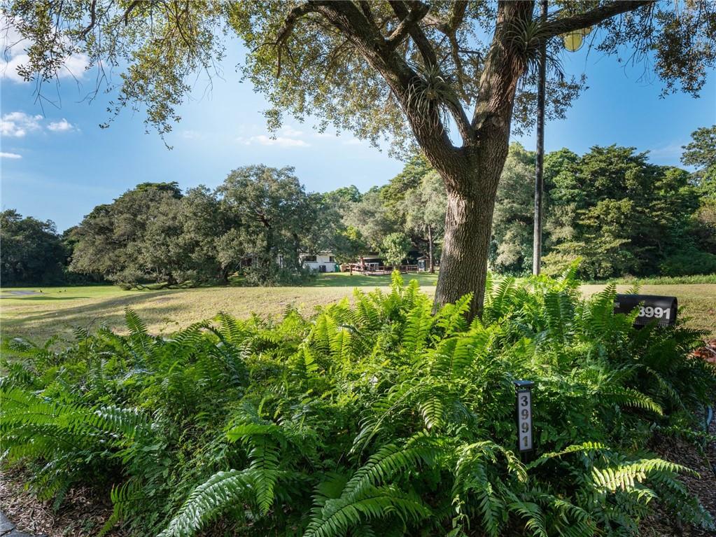 THE RIDGE AT LAUREL OAKS - Residential