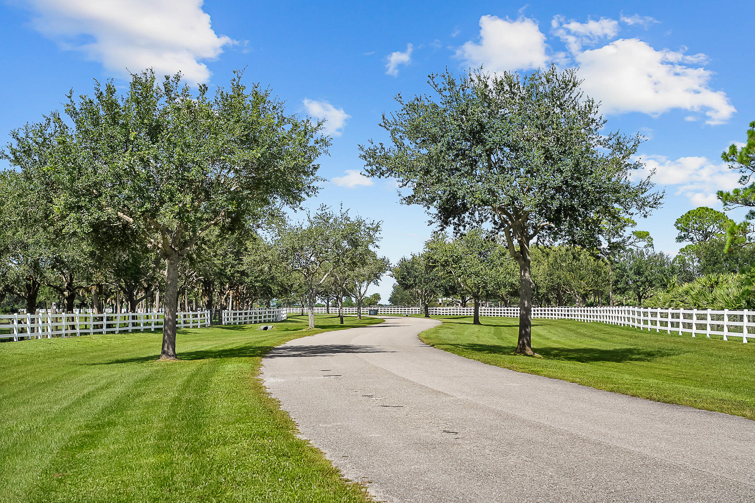 Trailside - Residential