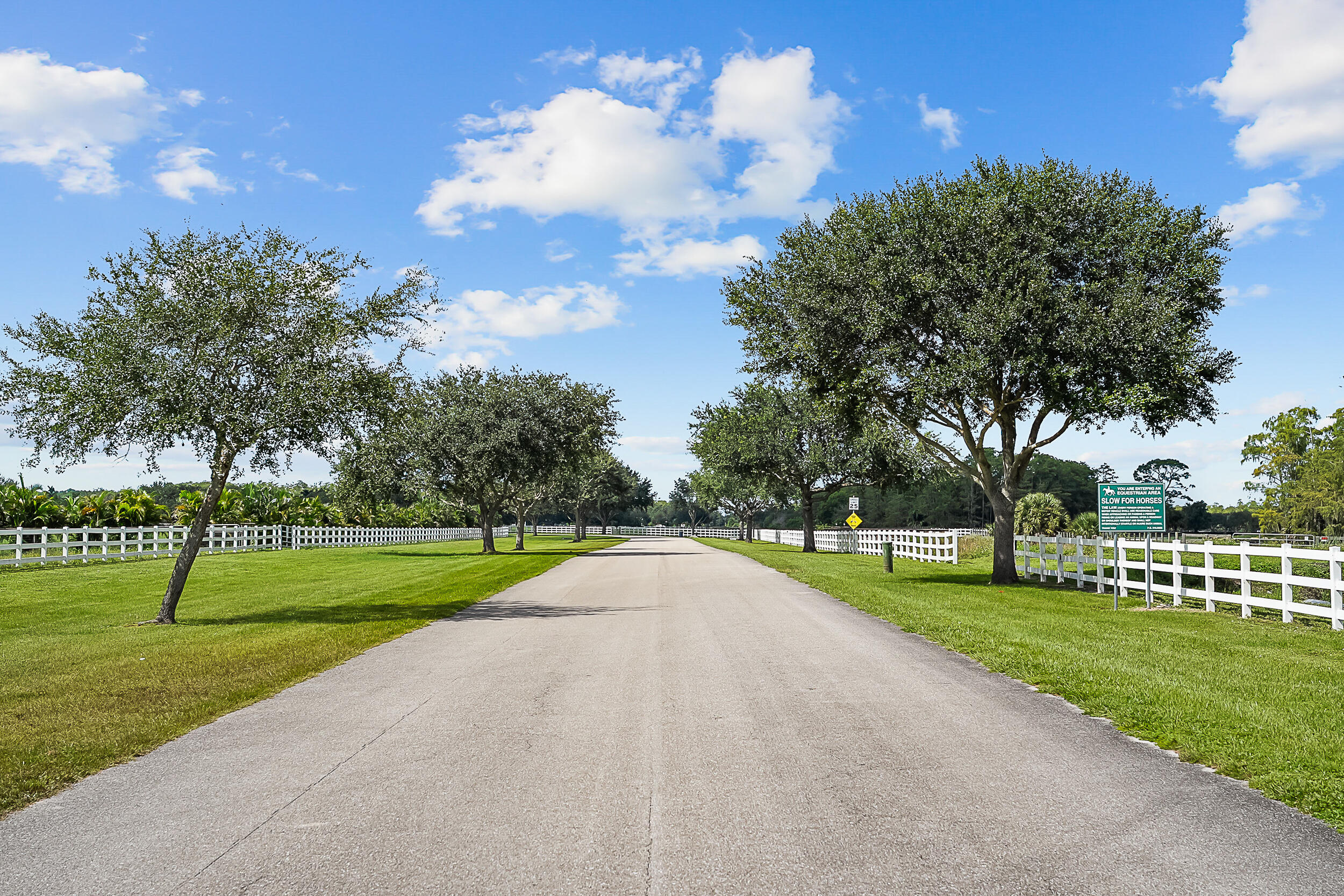 Trailside - Residential