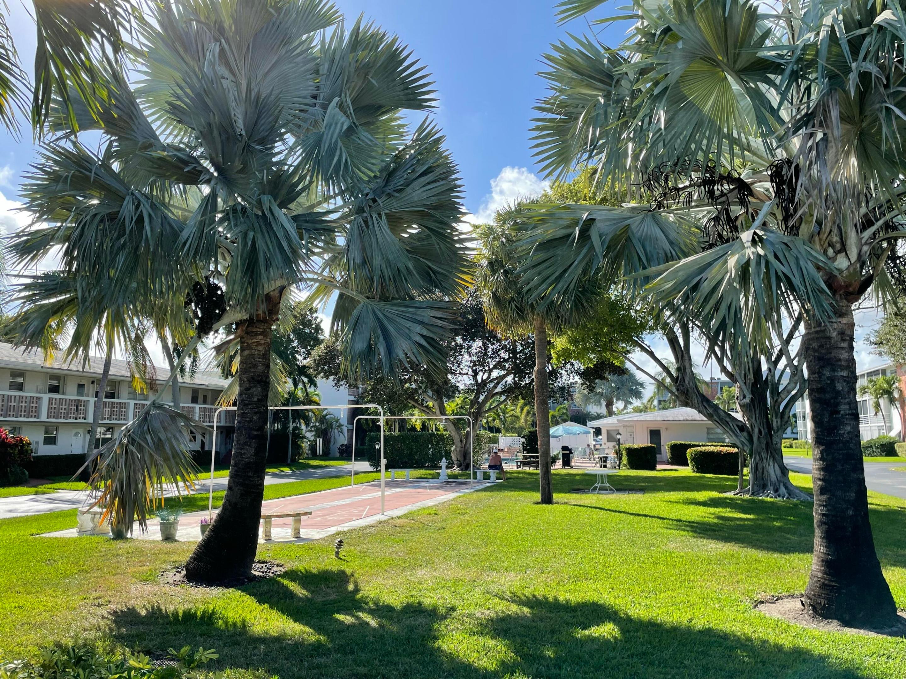 PALM ROYAL APTS INC CONDO - Residential