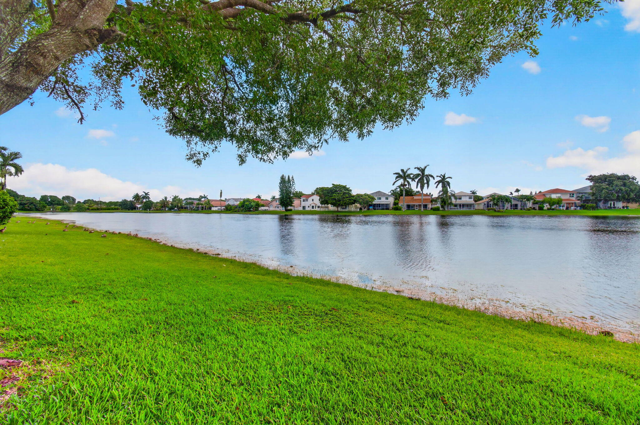 LAKE CHARLESTON - Residential