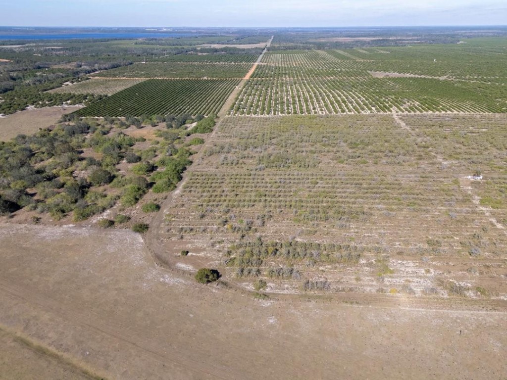 Lake Pythias Estates - Land