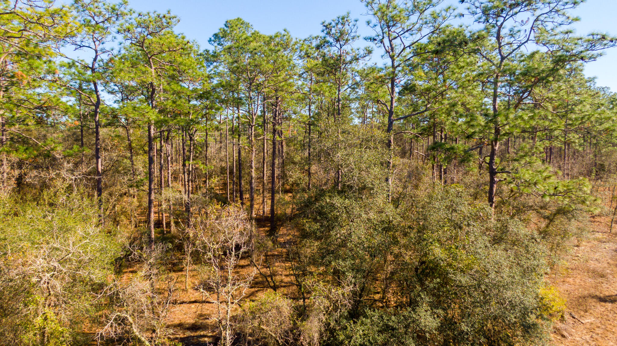 RAINBOW LAKES ESTATES SEC O RESUB - Land