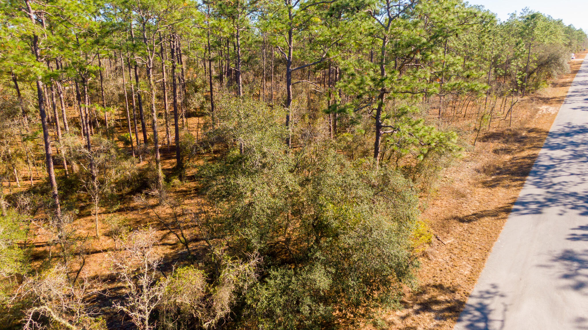 RAINBOW LAKES ESTATES SEC O RESUB - Land