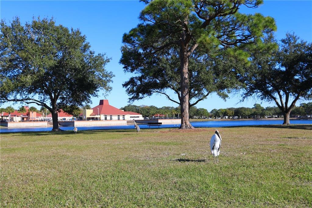 BAREFOOT BAY UNIT 1 - Residential