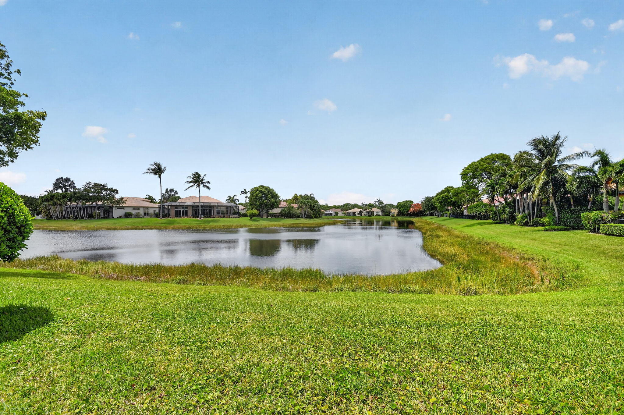 BUENA VIDA - Residential