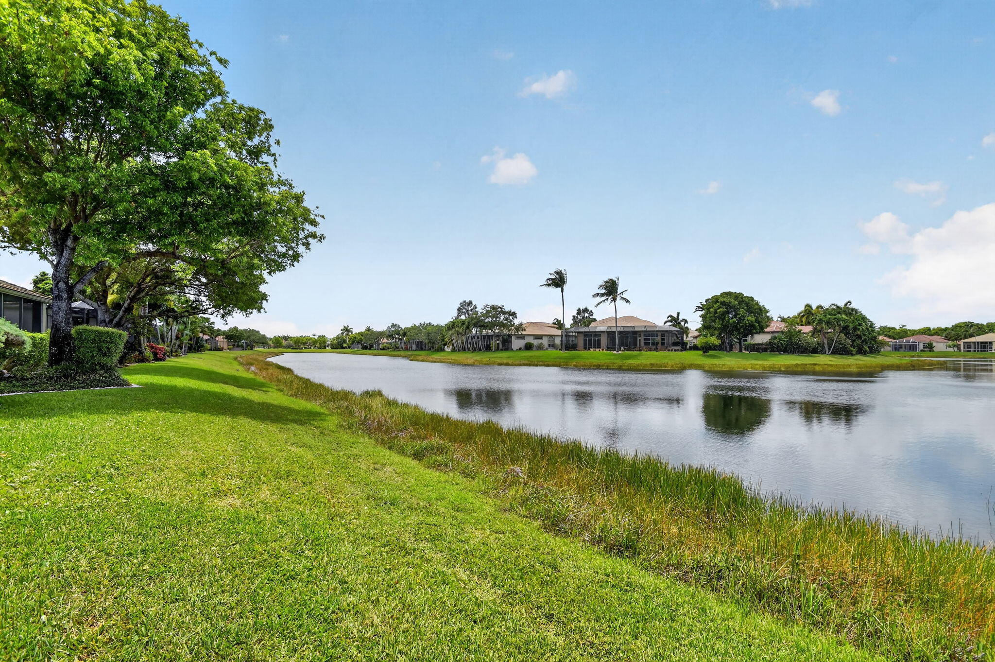 BUENA VIDA - Residential