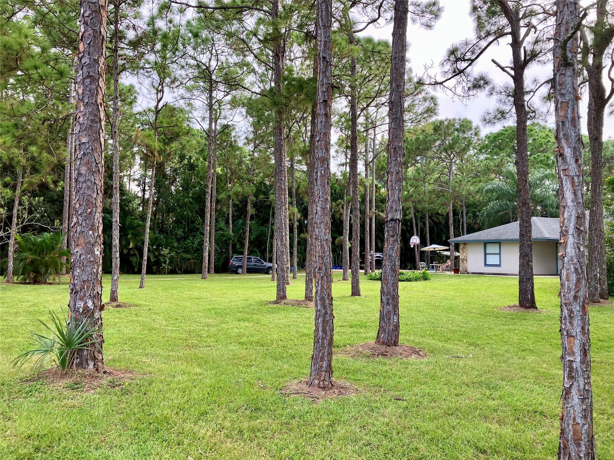 Jupiter Farms - Residential