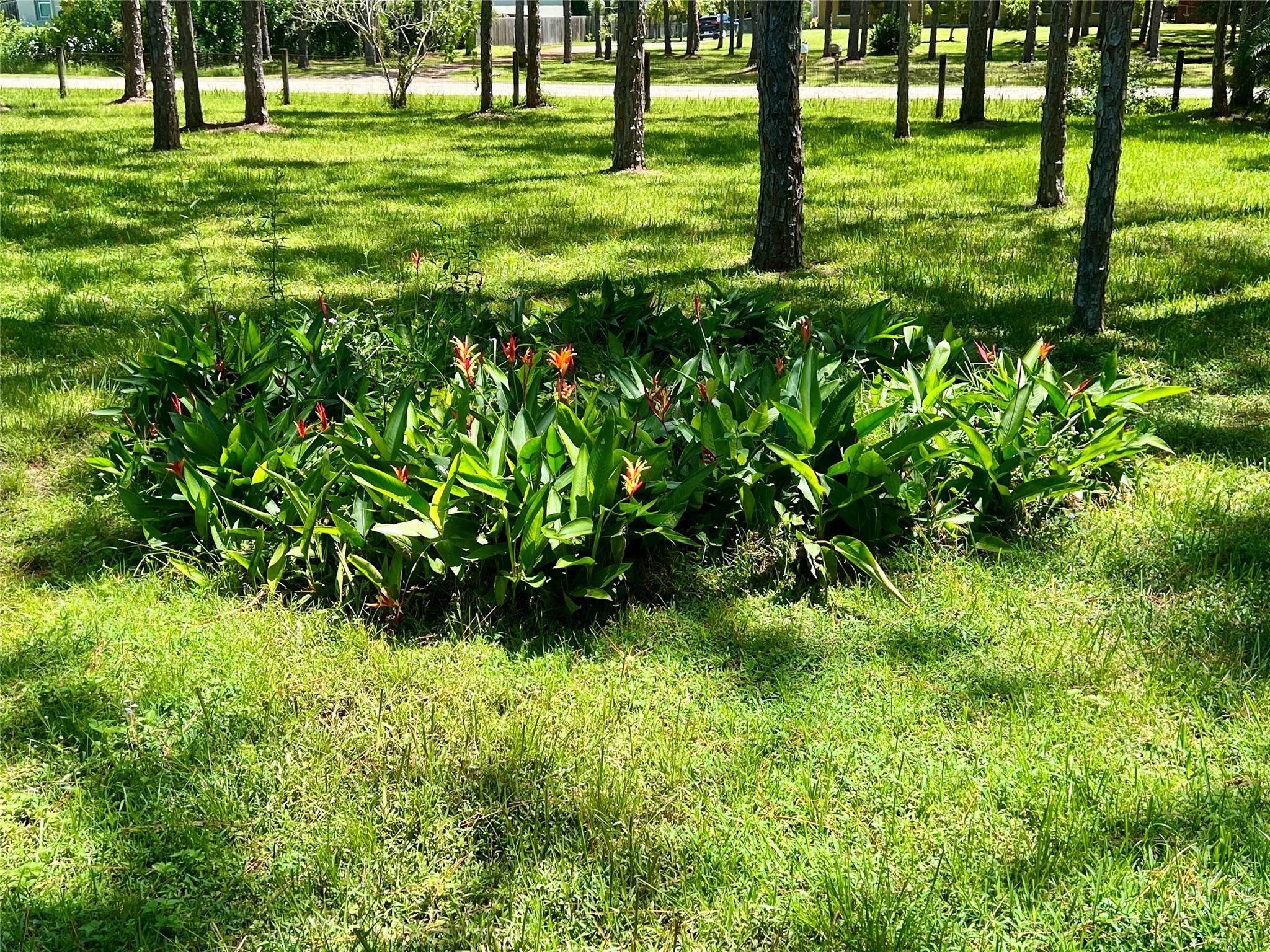Jupiter Farms - Residential