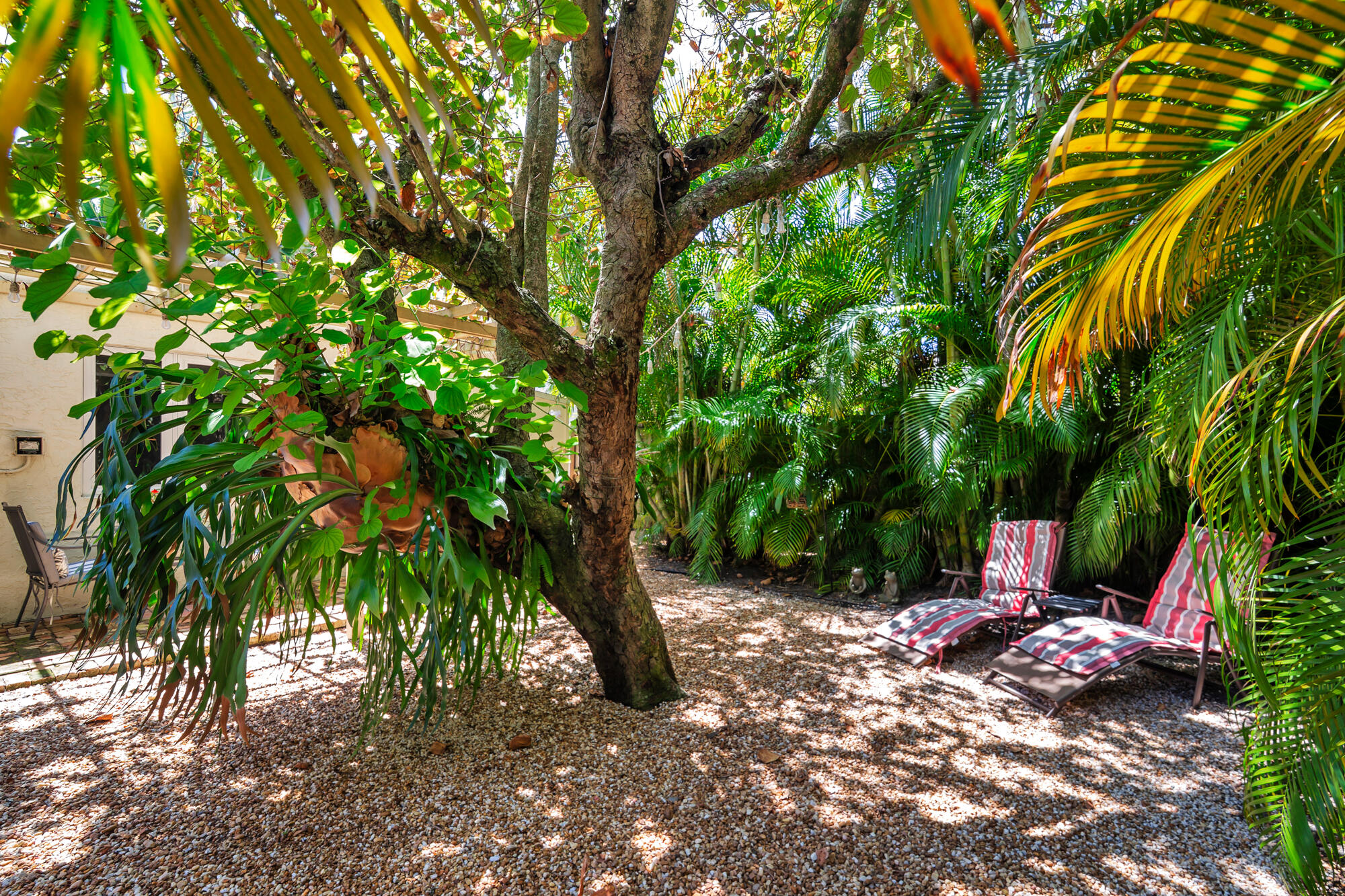 Flamingo Park - Residential