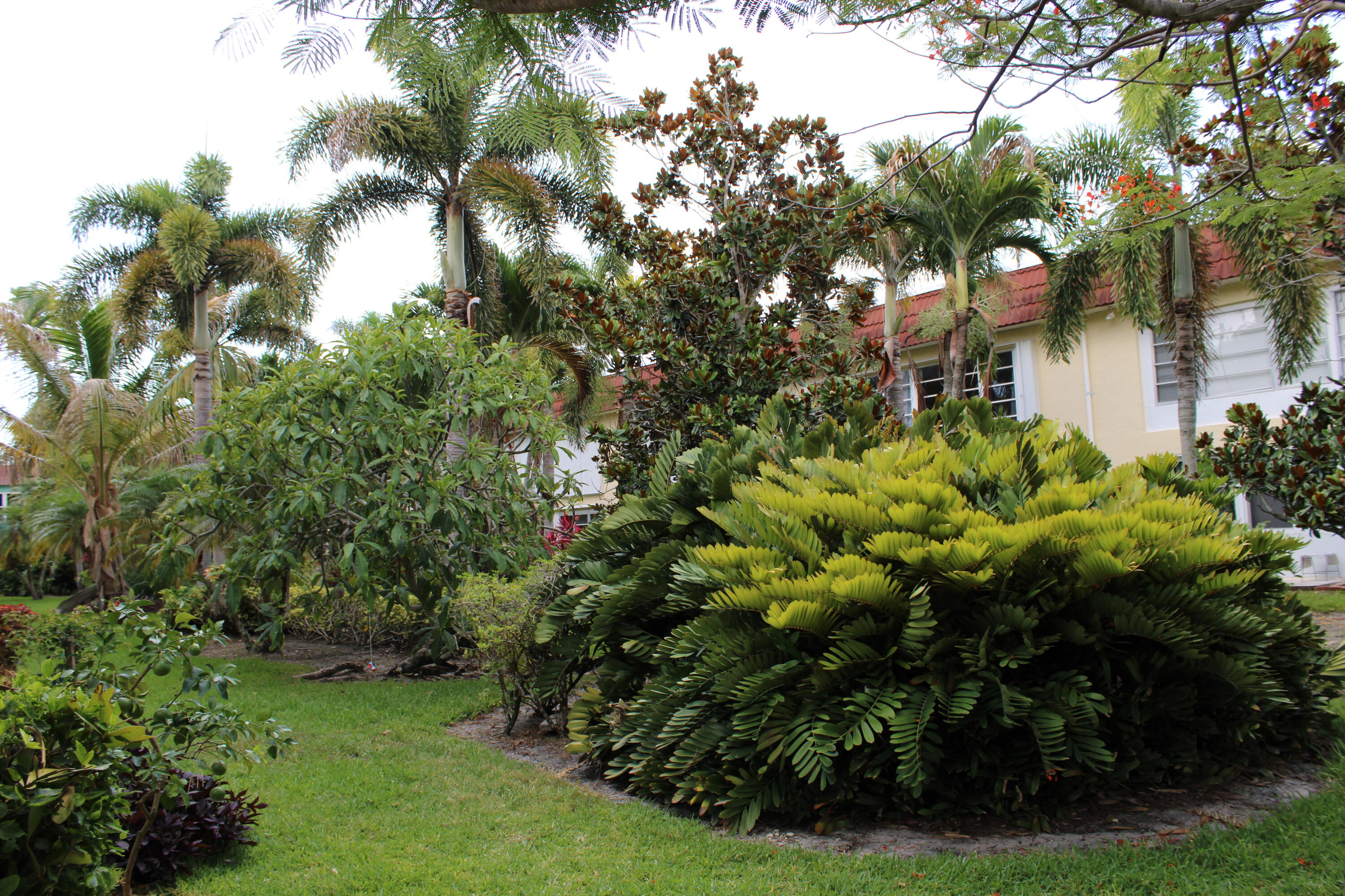 COLONNADES CONDOMINIUM  NO 8 - Residential