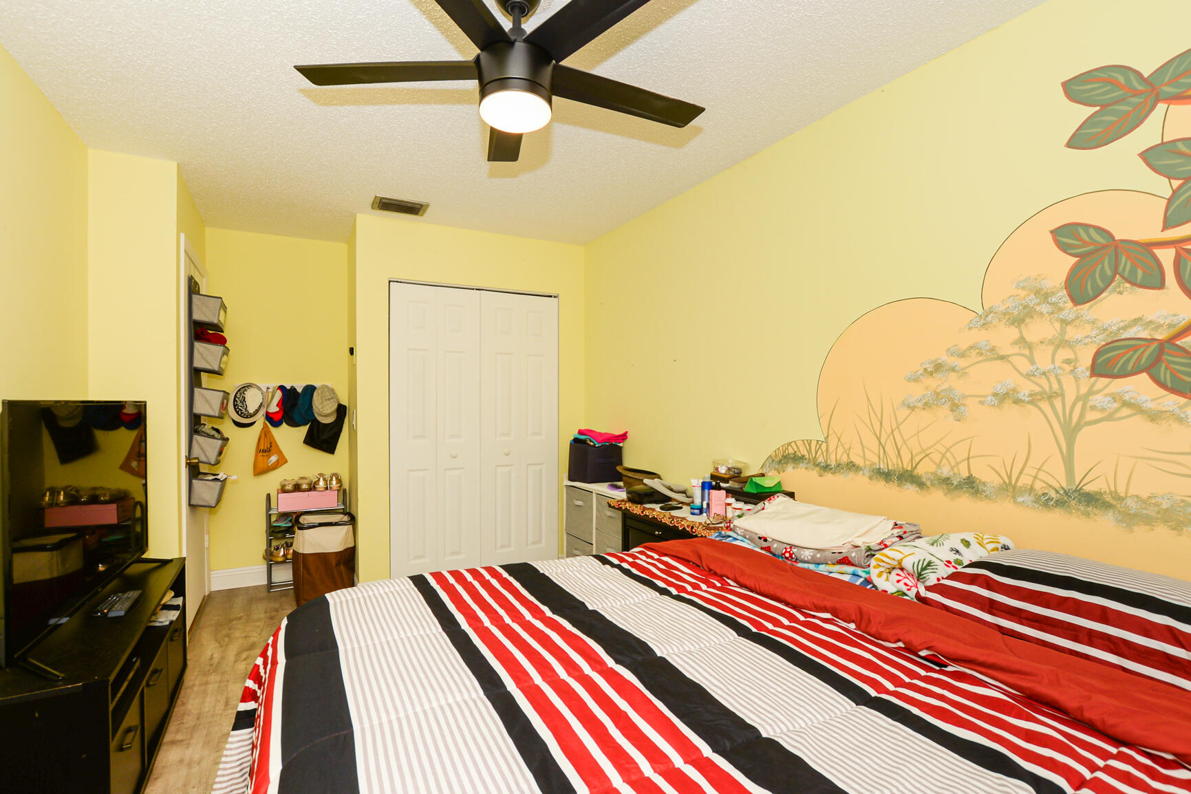 CINNAMON TREE - Residential