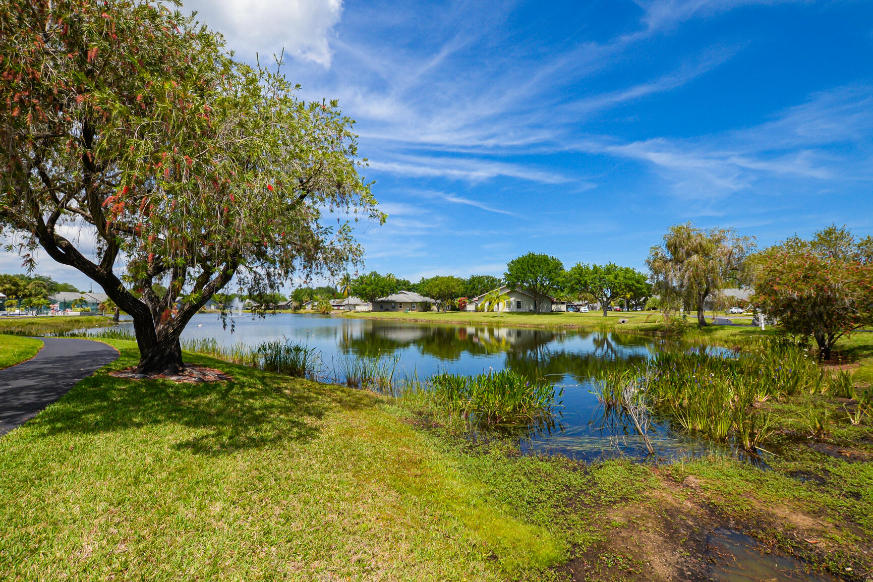 CINNAMON TREE - Residential