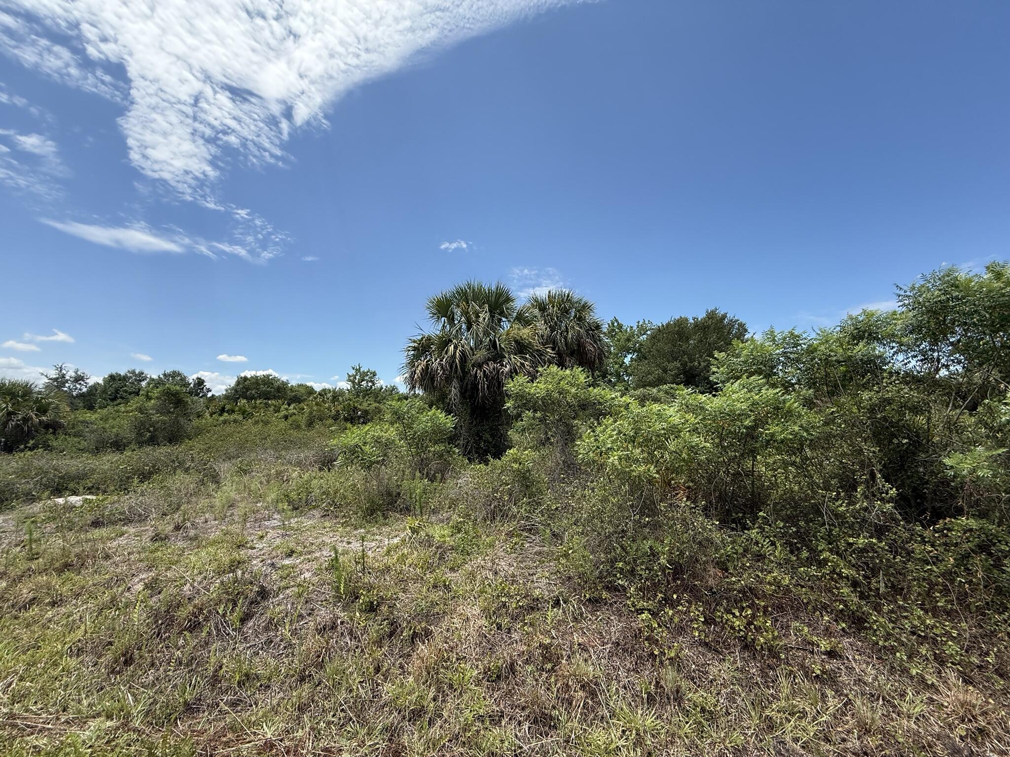 Discover the possibilities with this 1.25-acre vacant lot located at 20174 NW 268th St in Okeechobee. Situated in a peaceful rural setting, this property offers plenty of space for a site-built home, manufactured home, recreational use, or future investment. Enjoy the privacy and open surroundings while still being within driving distance to shopping, dining, and all that Okeechobee has to offer. Whether you're looking for a weekend getaway spot or a place to create your own country retreat, this property is full of potential. Buyer to perform their own due diligence regarding zoning, land use, utilities, and building requirements.