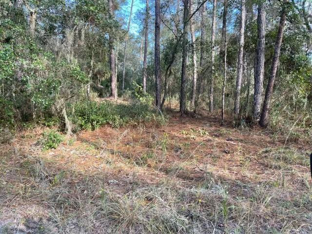 ST JOHNS RIVERSIDE ESTATES, HOOT OWL RIDGE 1ST ADDITION, CORRECTED PLATS MB5 P96, BLK 28 LOT 15