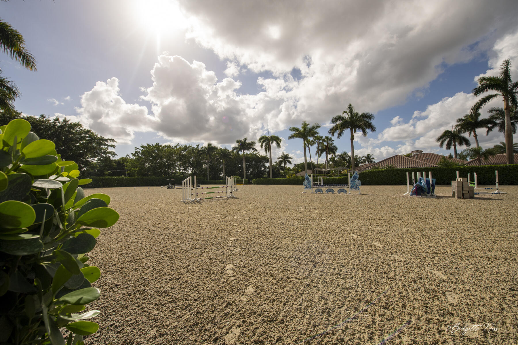 SADDLE TRAIL PARK OF WELLINGTON - Residential Lease
