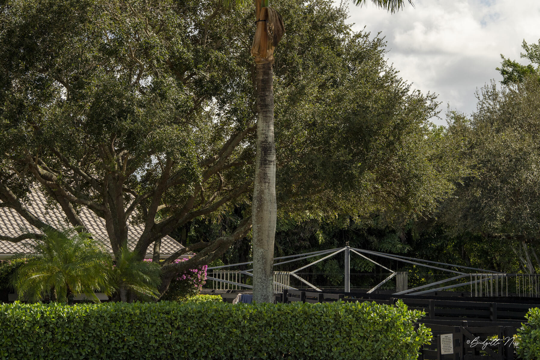 SADDLE TRAIL PARK OF WELLINGTON - Residential Lease