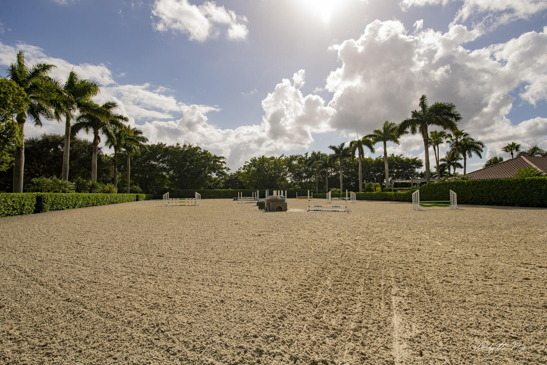 SADDLE TRAIL PARK OF WELLINGTON - Residential Lease