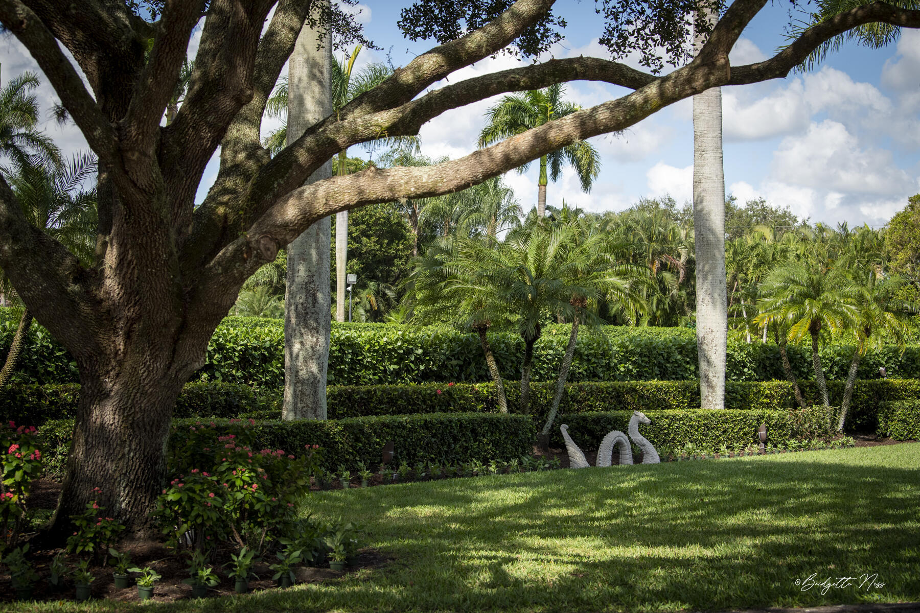 SADDLE TRAIL PARK OF WELLINGTON - Residential Lease
