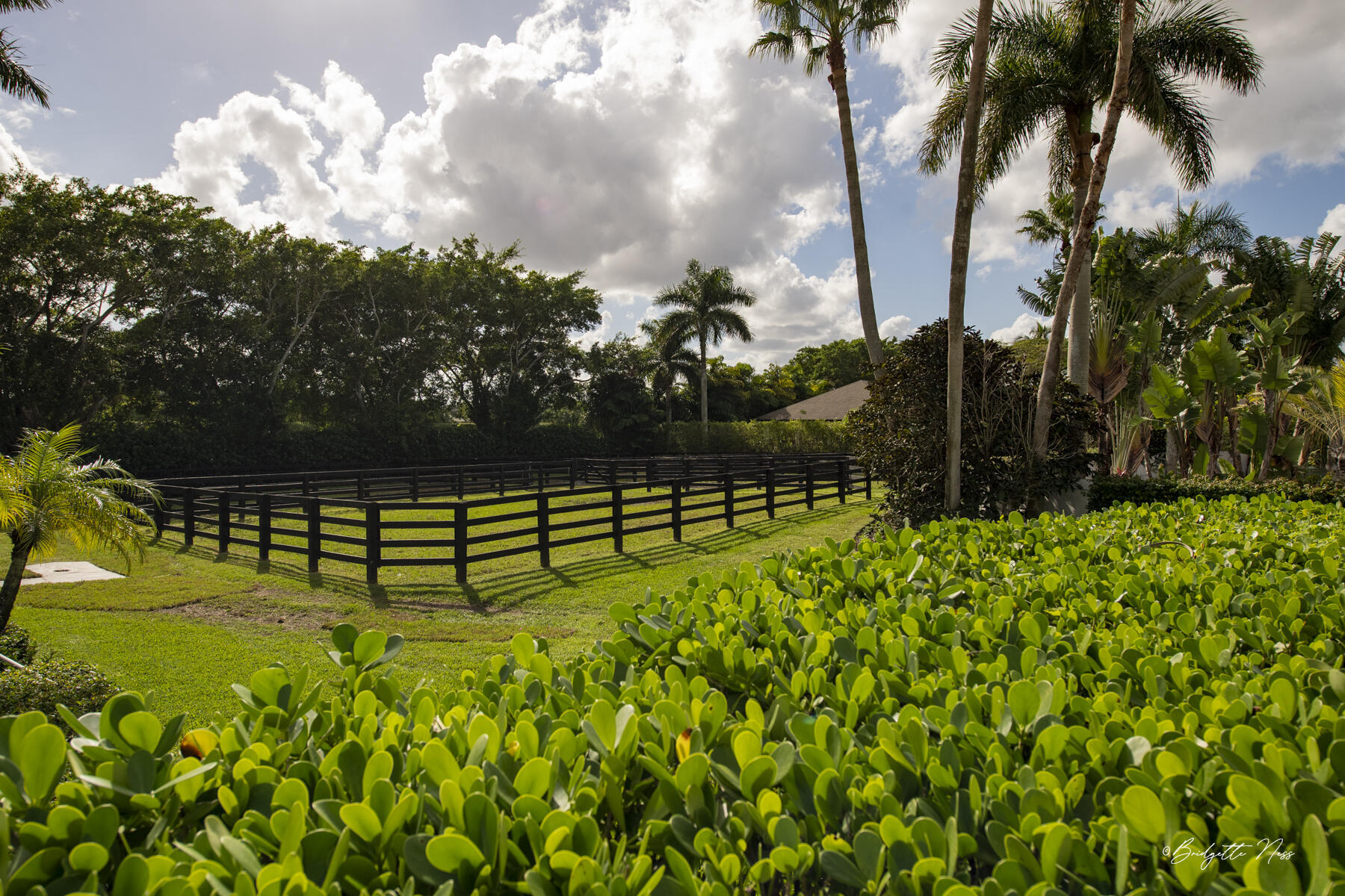 SADDLE TRAIL PARK OF WELLINGTON - Residential Lease