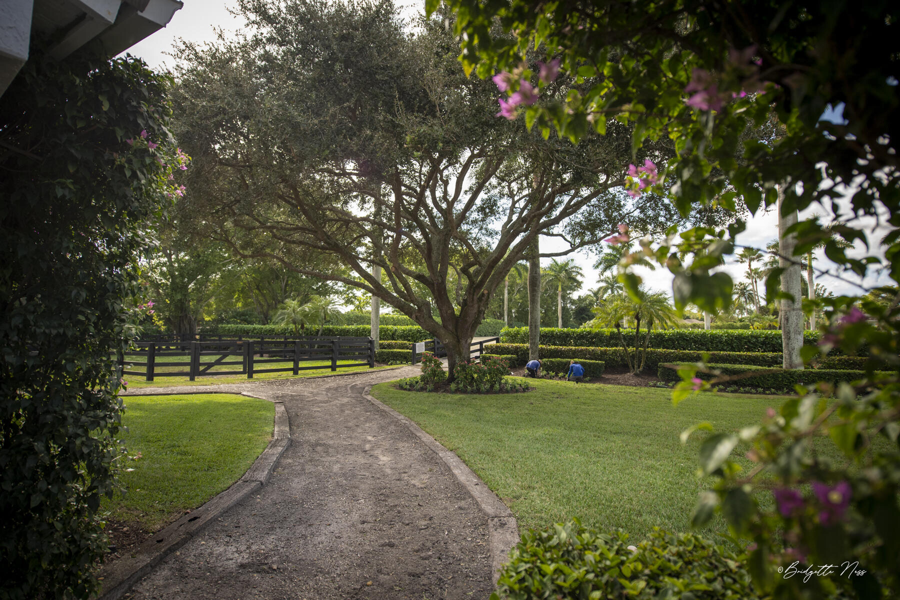 SADDLE TRAIL PARK OF WELLINGTON - Residential Lease