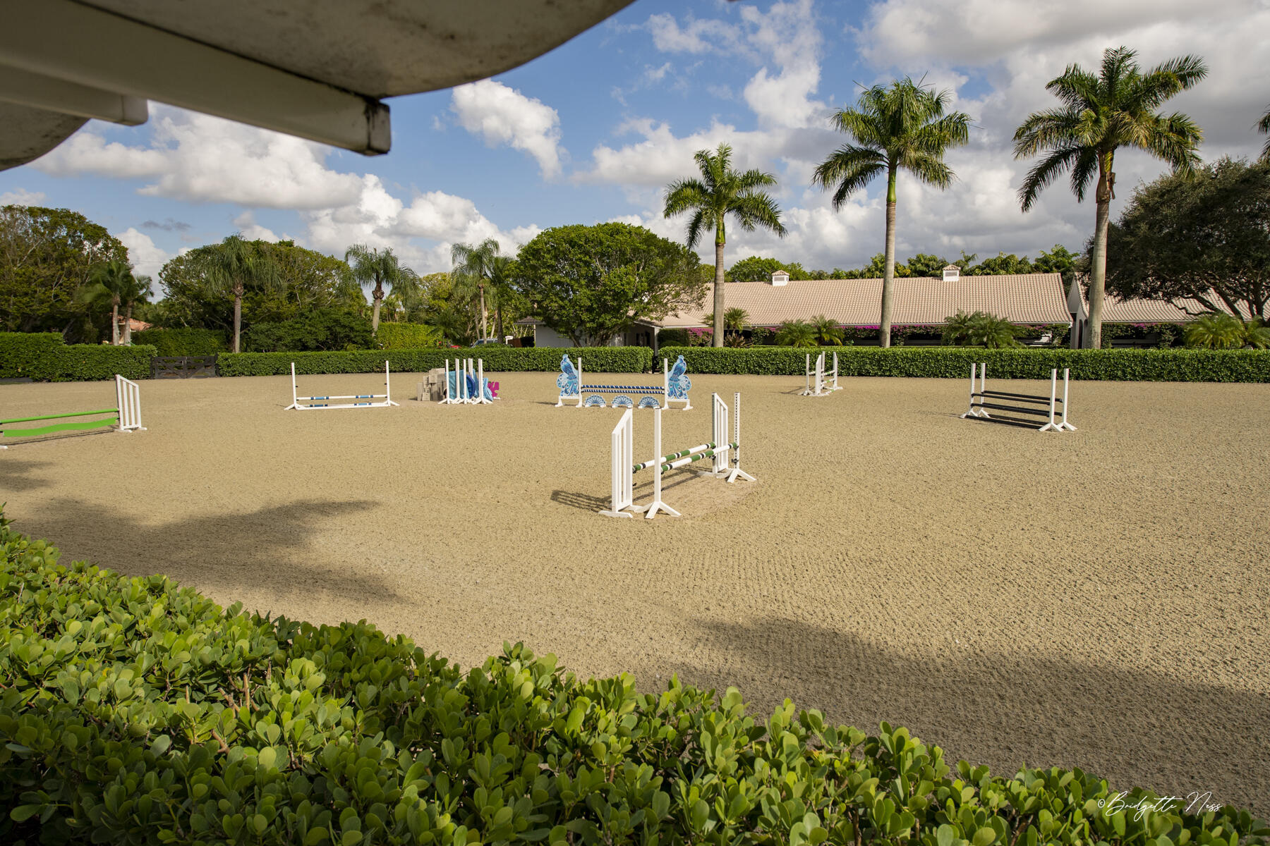 SADDLE TRAIL PARK OF WELLINGTON - Residential Lease