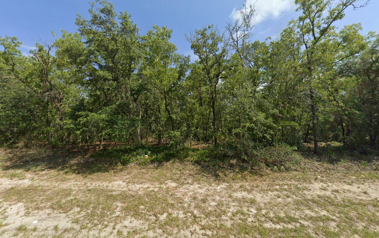 So much potential! Check out this .23 acre lot in the up and coming Marion Oaks neighborhood! This lot is one of TWO side-by-side vacant lots. The adjacent parcel ID is 8011-1363-16, which is directly to the right of this property if you are facing it from the street. Close to restaurants, shopping, Ross Prarie state park, and more. Plenty of privacy, nothing to be built at the rear of the property.