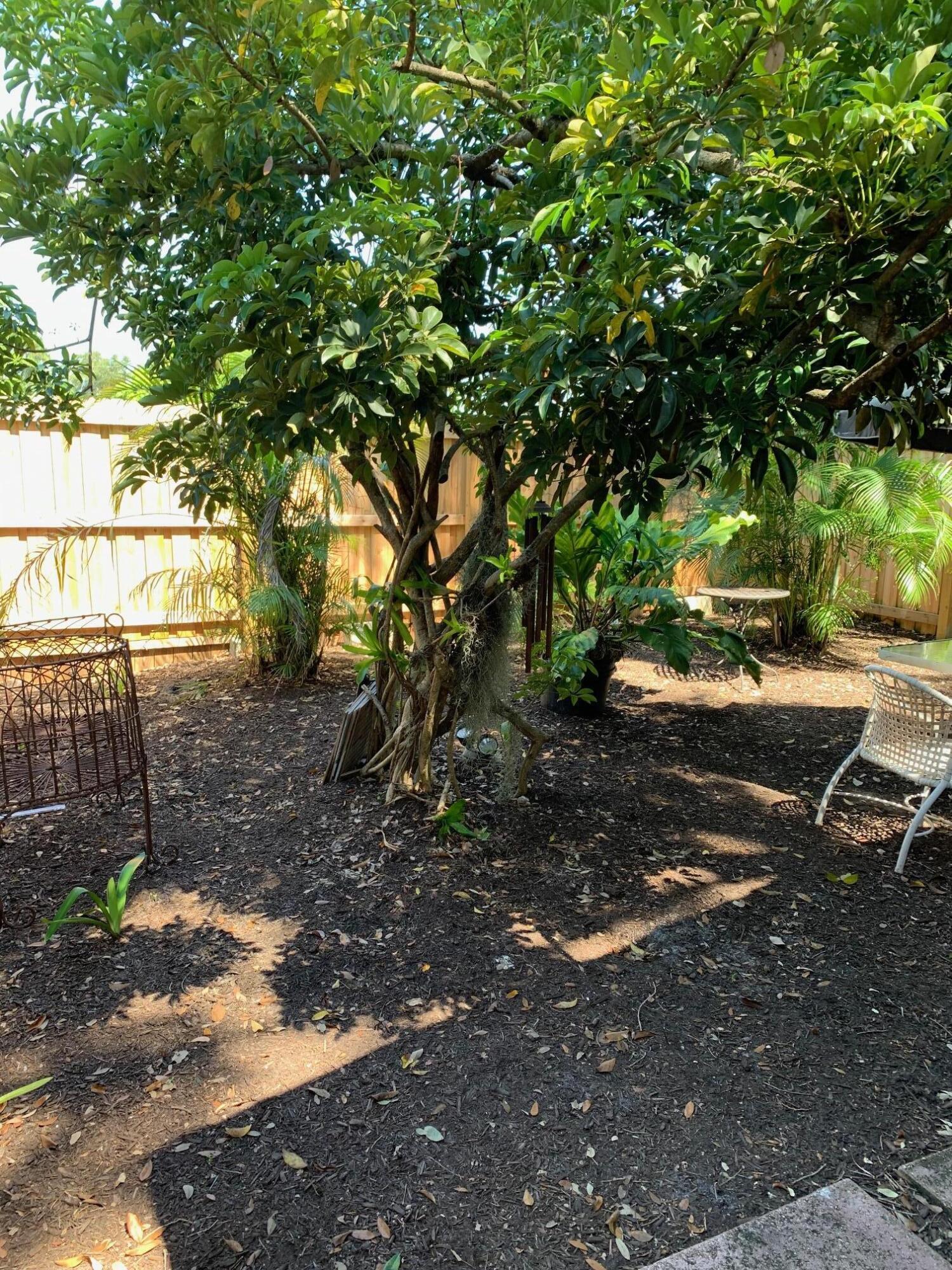 MULBERRY - Residential Lease