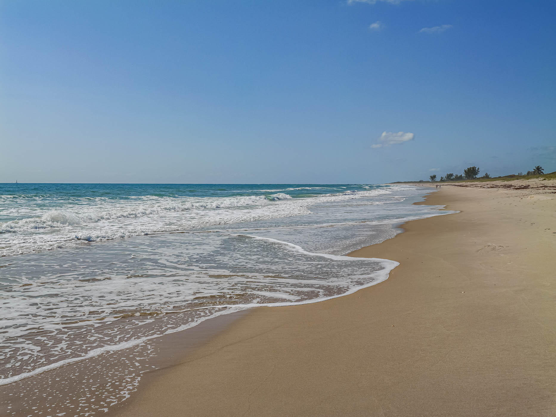 SANDS ON THE OCEAN SECTION 1 CONDOMINIUM - Residential