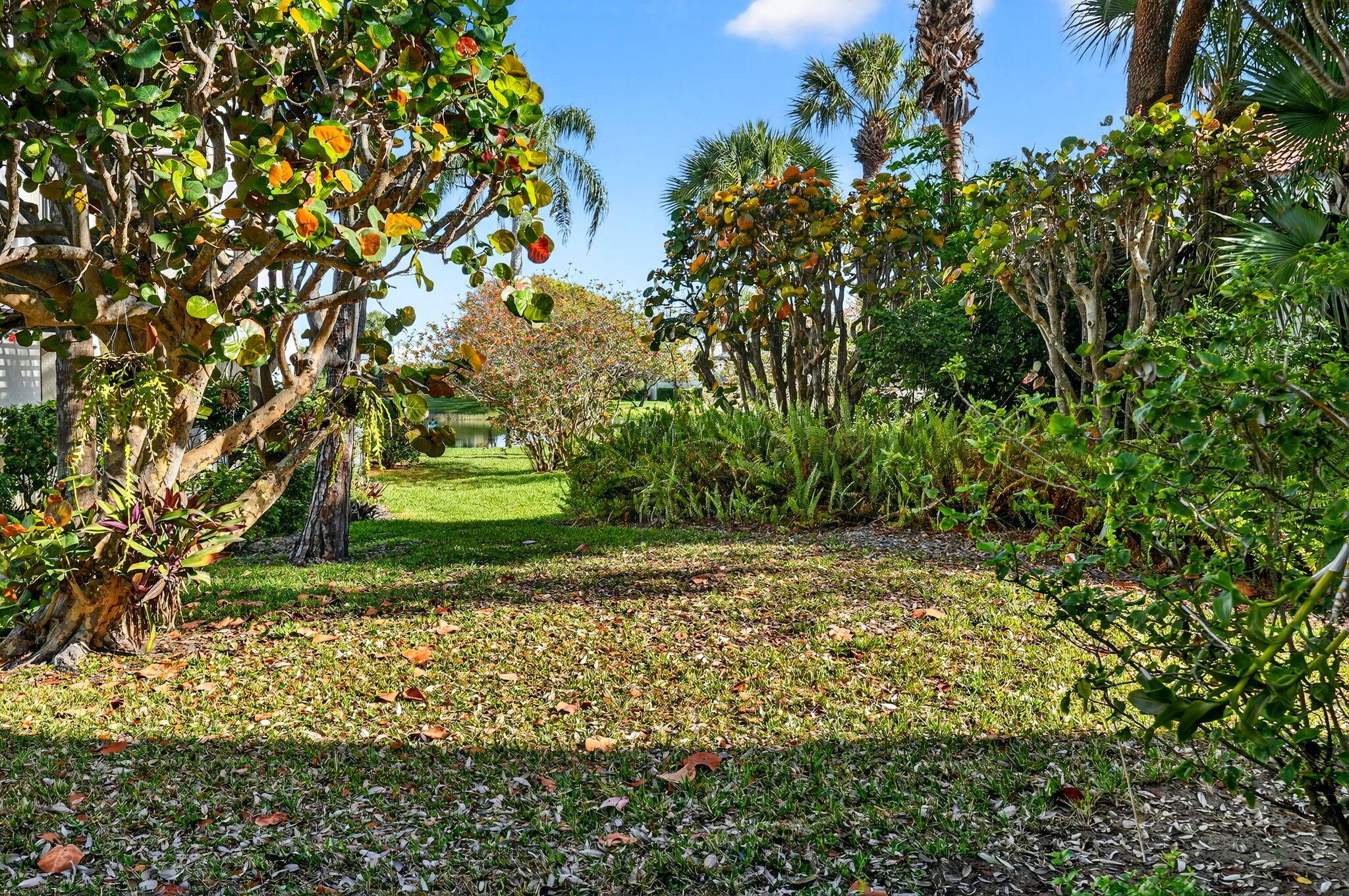 SEA OATS OF JUNO BEACH CONDO - Residential