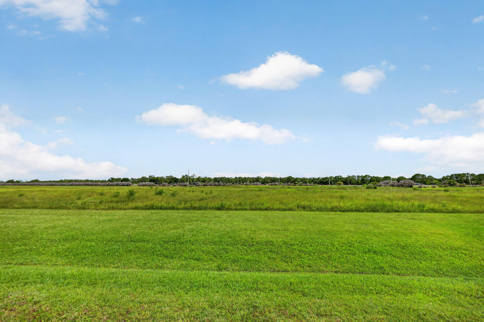 FOX GROVE (AKA MEADOW RUN) - Land