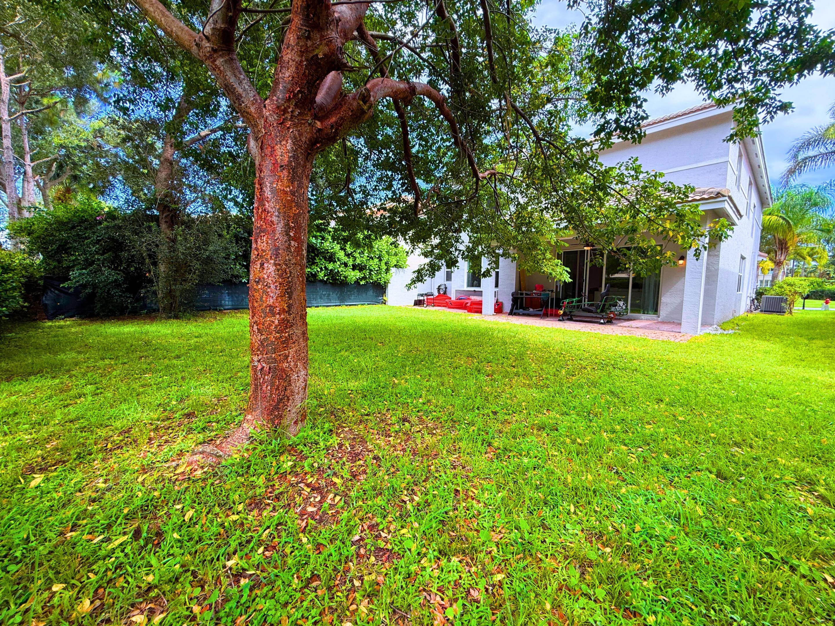 CANYON SPRINGS - Residential