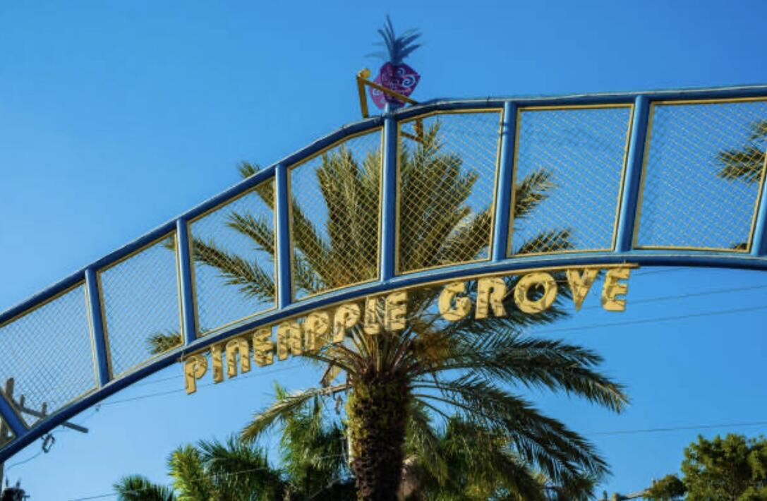 CITY WALK AT PINEAPPLE GROVE CONDO - Residential