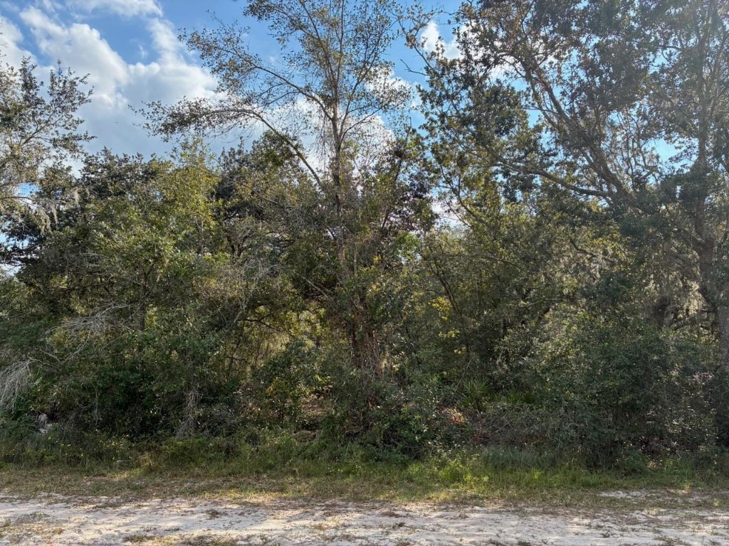 Indian Lake Esates - Land