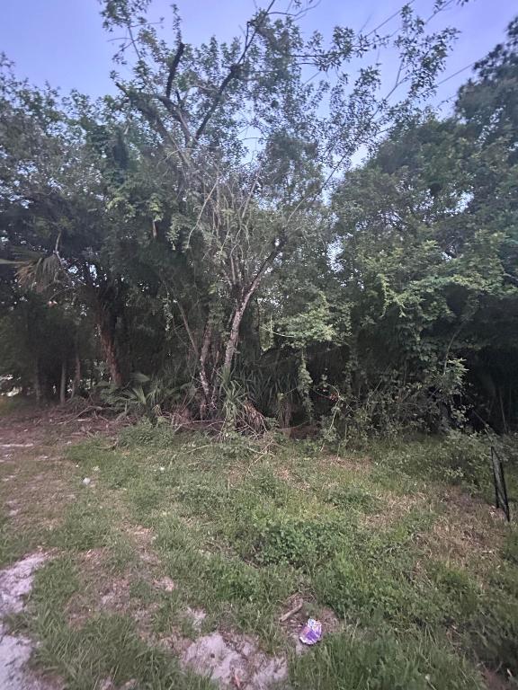 PARADISE PARK UNIT NO 2 - Land