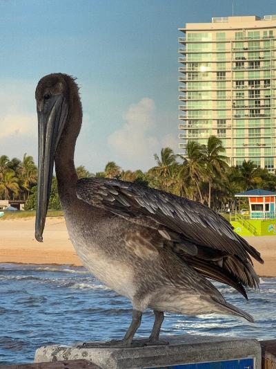POMPANO BEACH CLUB NORTH CONDO - Residential Lease