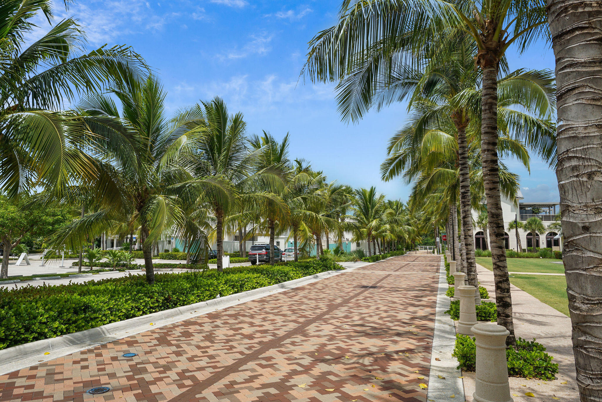 Ocean at the Bluffs North - Residential