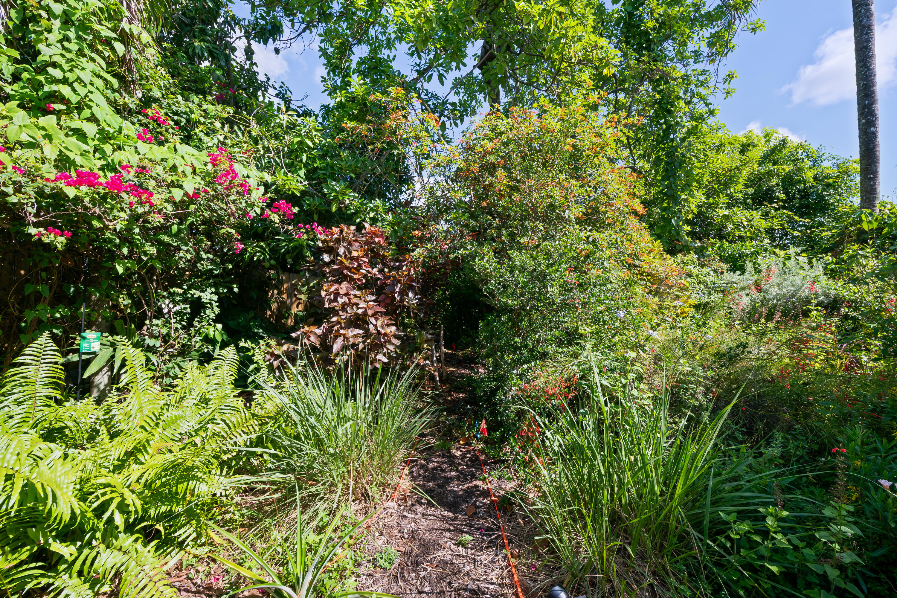 OAKLAND ESTATES SEC EIGHT - Residential