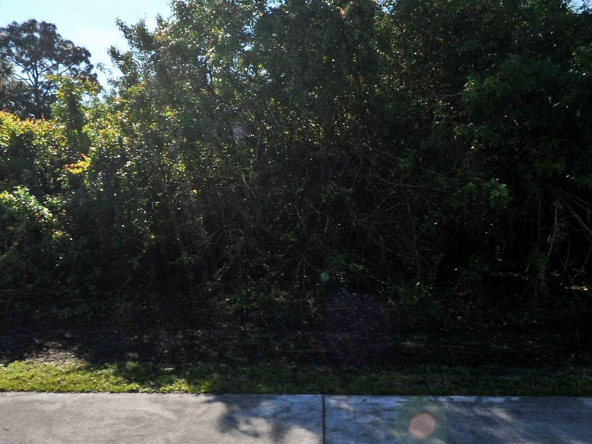 Prime vacant residential lot ready for your dream home! Ideally located between Darwin Blvd and PSL Blvd, this property offers easy access to I-95 and the Florida Turnpike—perfect for commuters and builders alike. Just a short drive to Stuart and the beautiful Treasure Coast beaches, you'll enjoy the best of coastal living with convenience. Whether you're a buyer looking to build your custom home or a builder seeking your next project, this lot presents excellent potential in a growing area. No HOA, plenty of nearby shopping, dining, and schools. Don't miss this opportunity to build in a desirable, well-connected location!