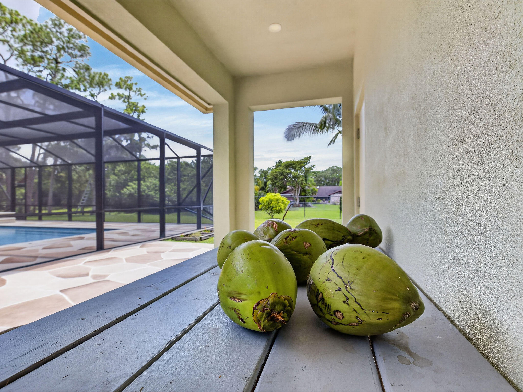 Pine Tree Estates - Residential