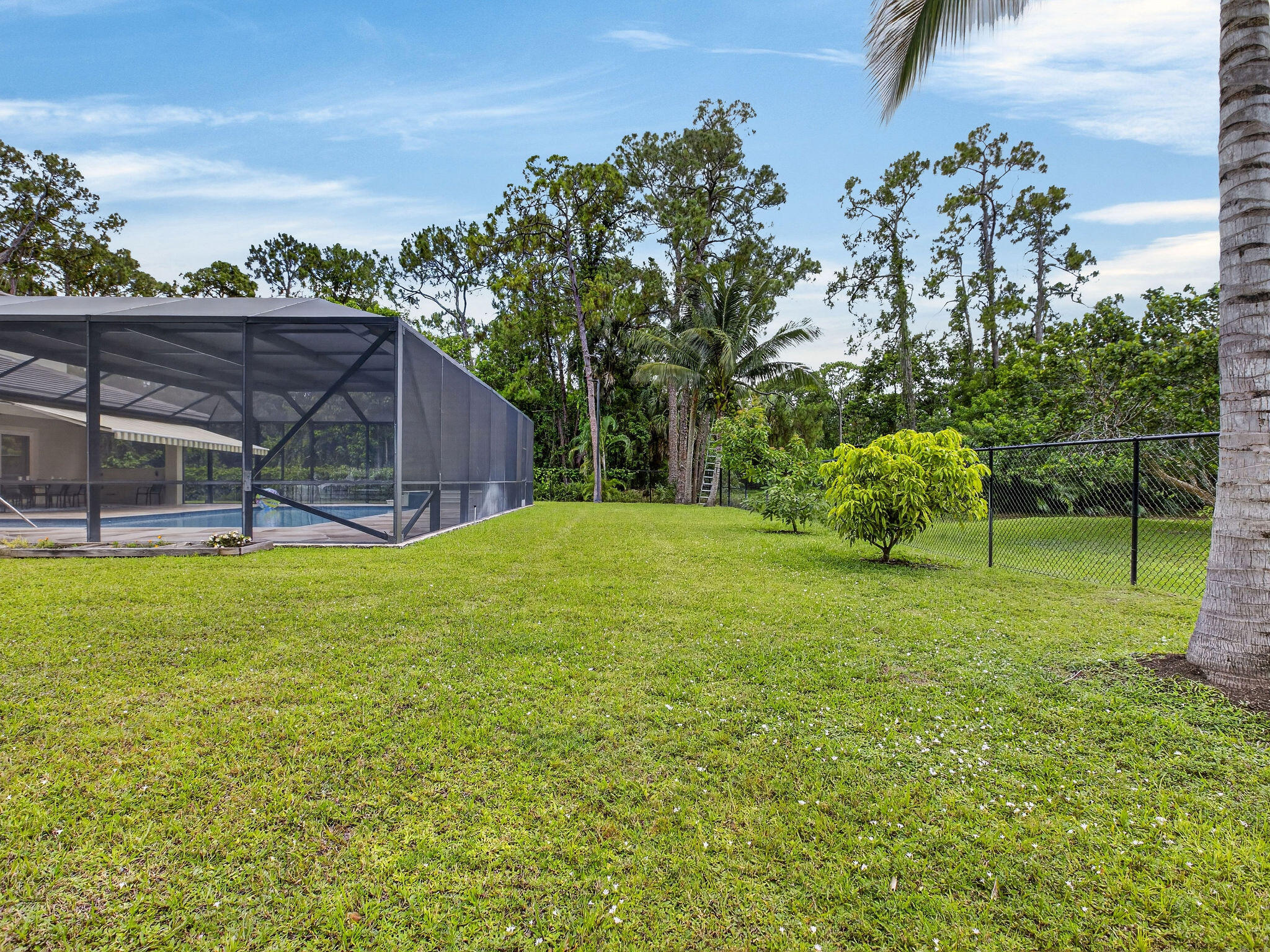 Pine Tree Estates - Residential