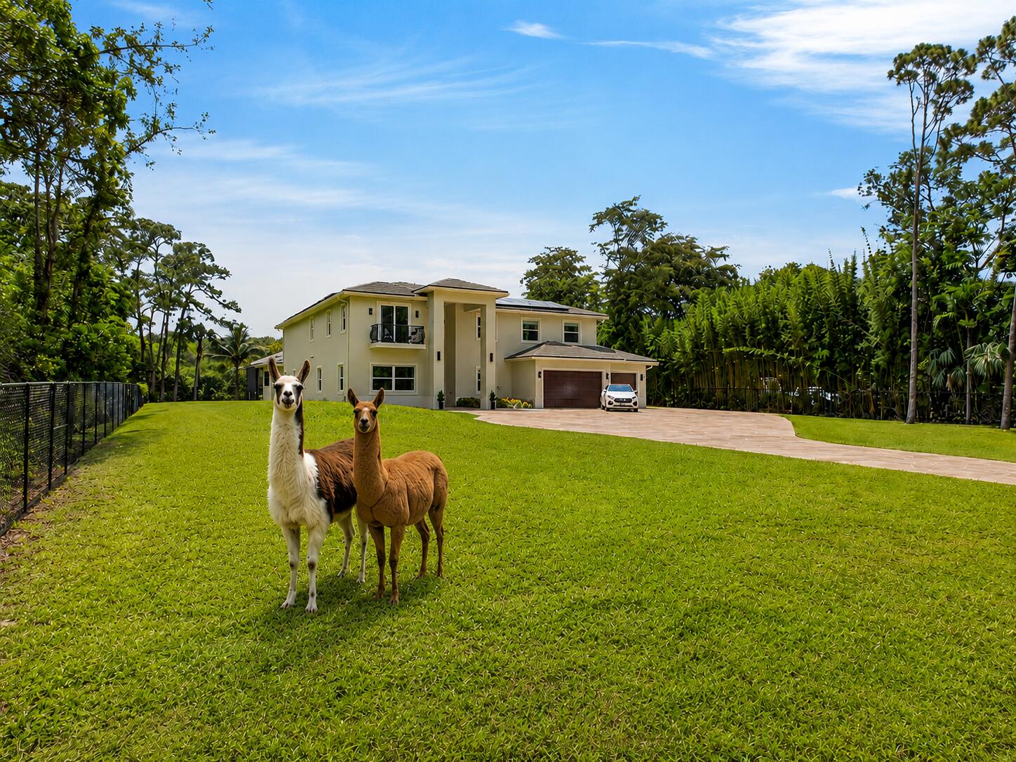 Pine Tree Estates - Residential