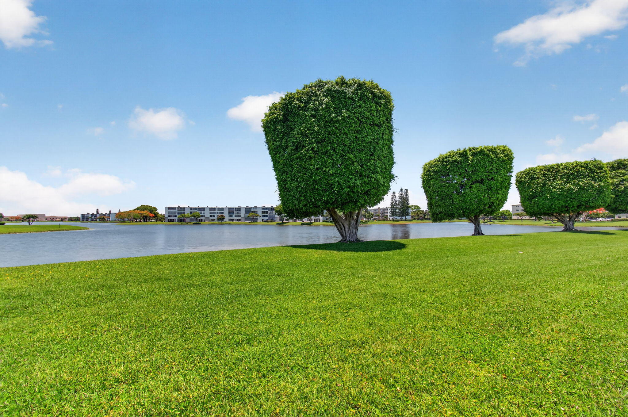 CENTURY VILLAGE - Residential